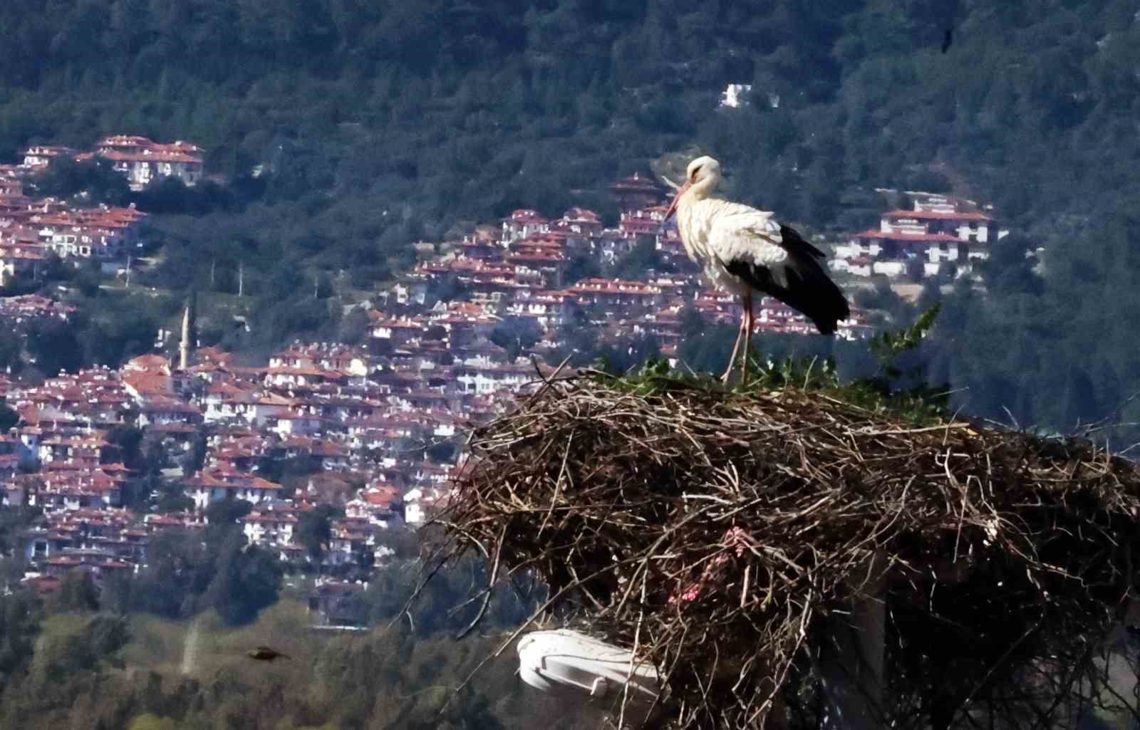 bu da leylegin hirsizi 4 JhMw64UV