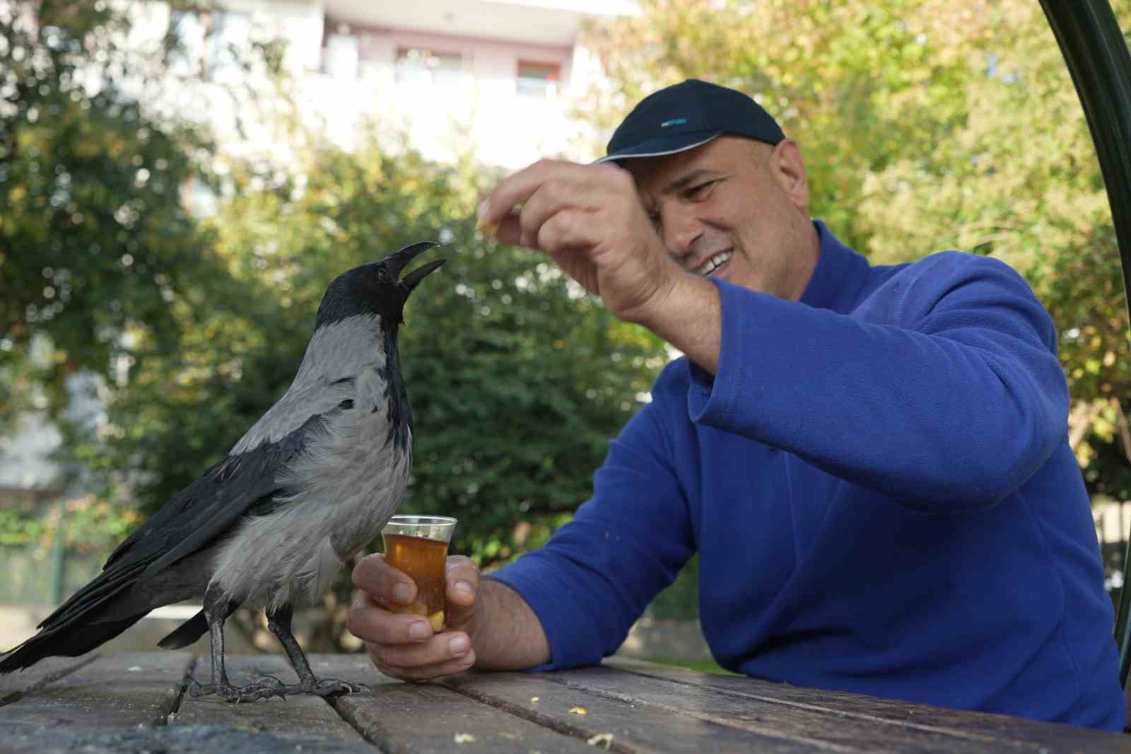 bu karga cay icip rize helvasi yiyor organik gidalari seviyor 6 OVy5dVEj