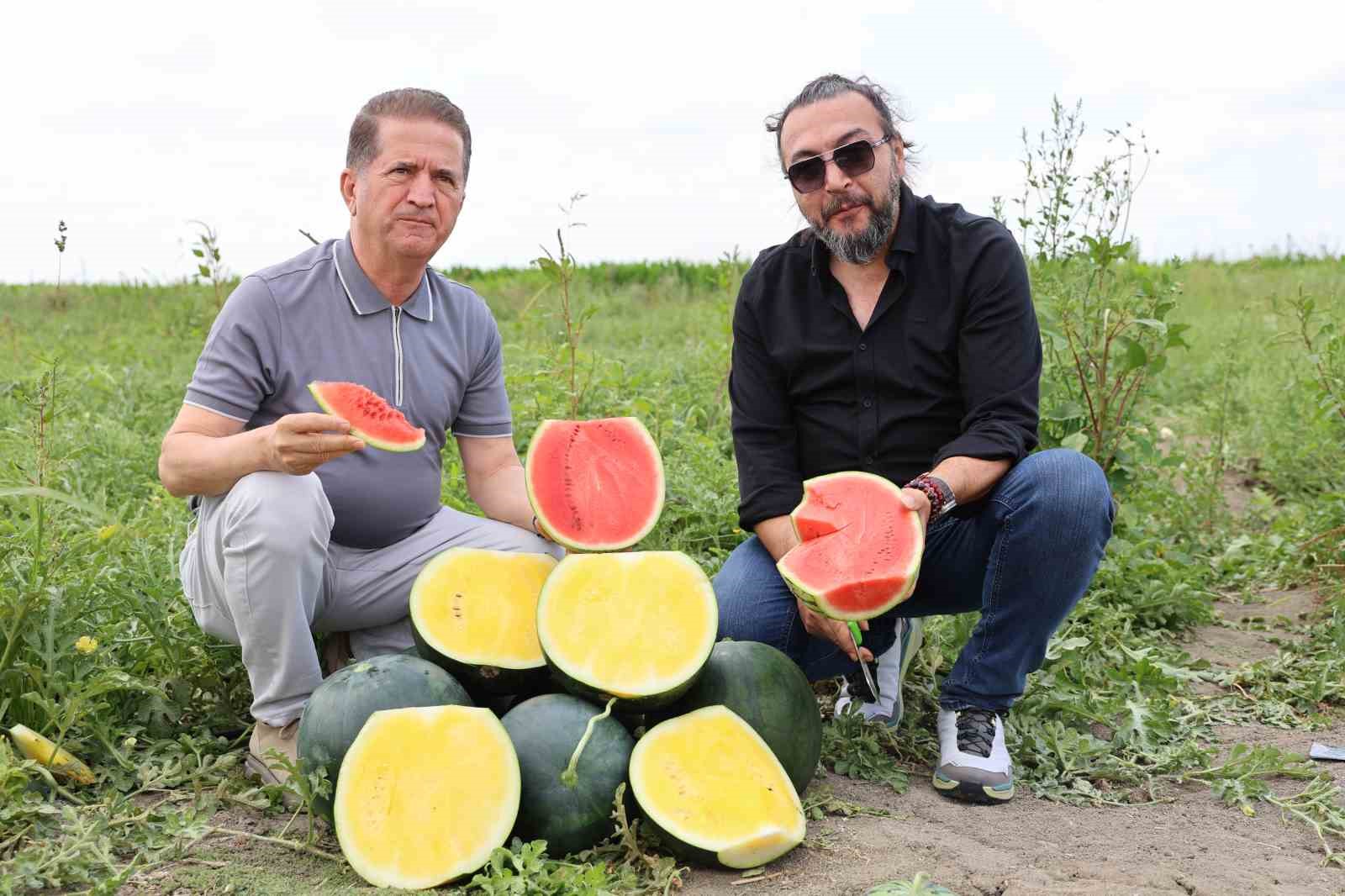 Bu karpuzu görenler hayrete düşüyor: kabuğu yeşil, içi sarı 14 bu karpuzu gorenler hayrete dusuyor kabugu yesil ici sari 10 X4r7I2tv