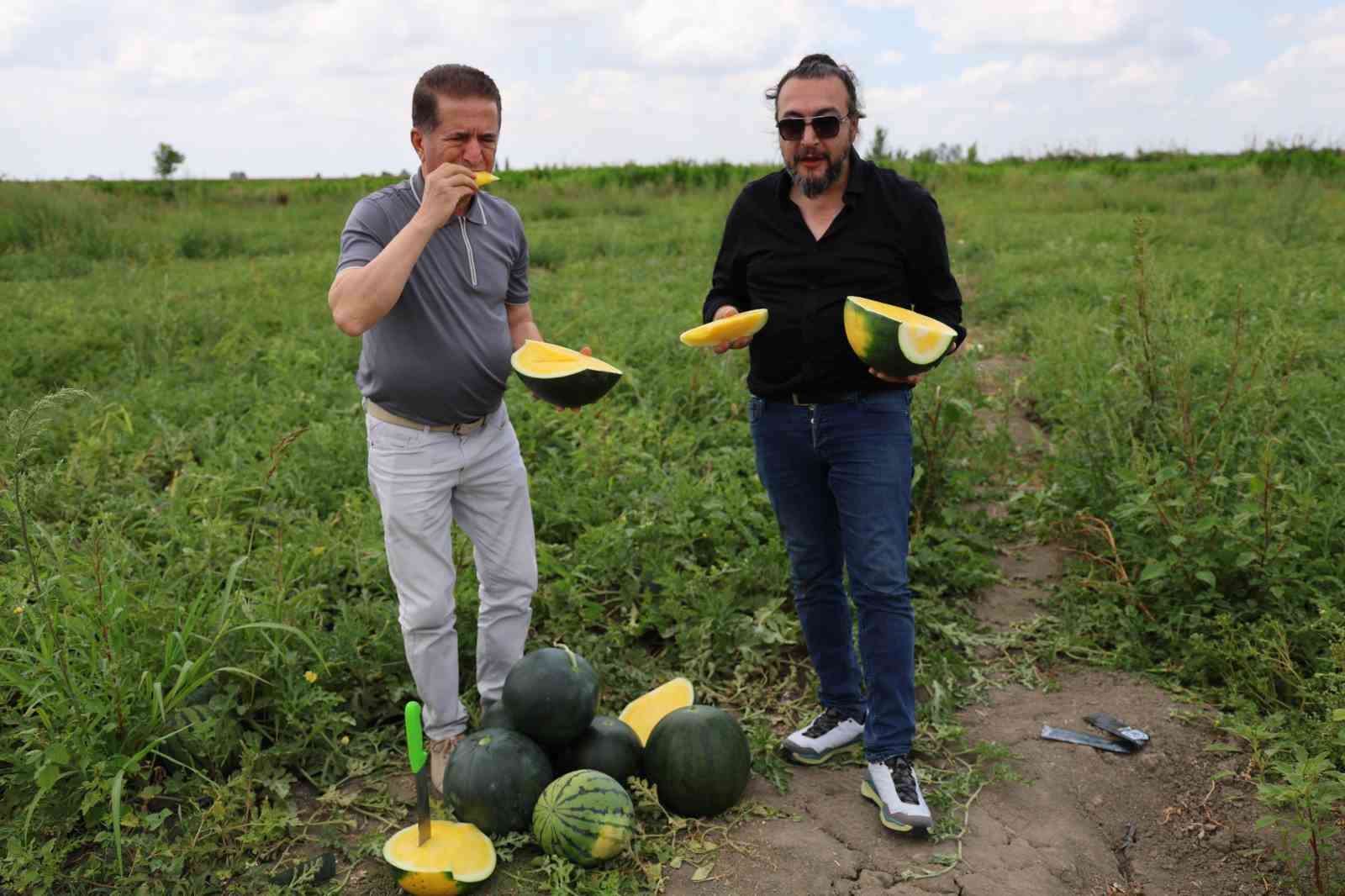 Bu karpuzu görenler hayrete düşüyor: kabuğu yeşil, içi sarı 6 bu karpuzu gorenler hayrete dusuyor kabugu yesil ici sari 2 8SfjNPnW
