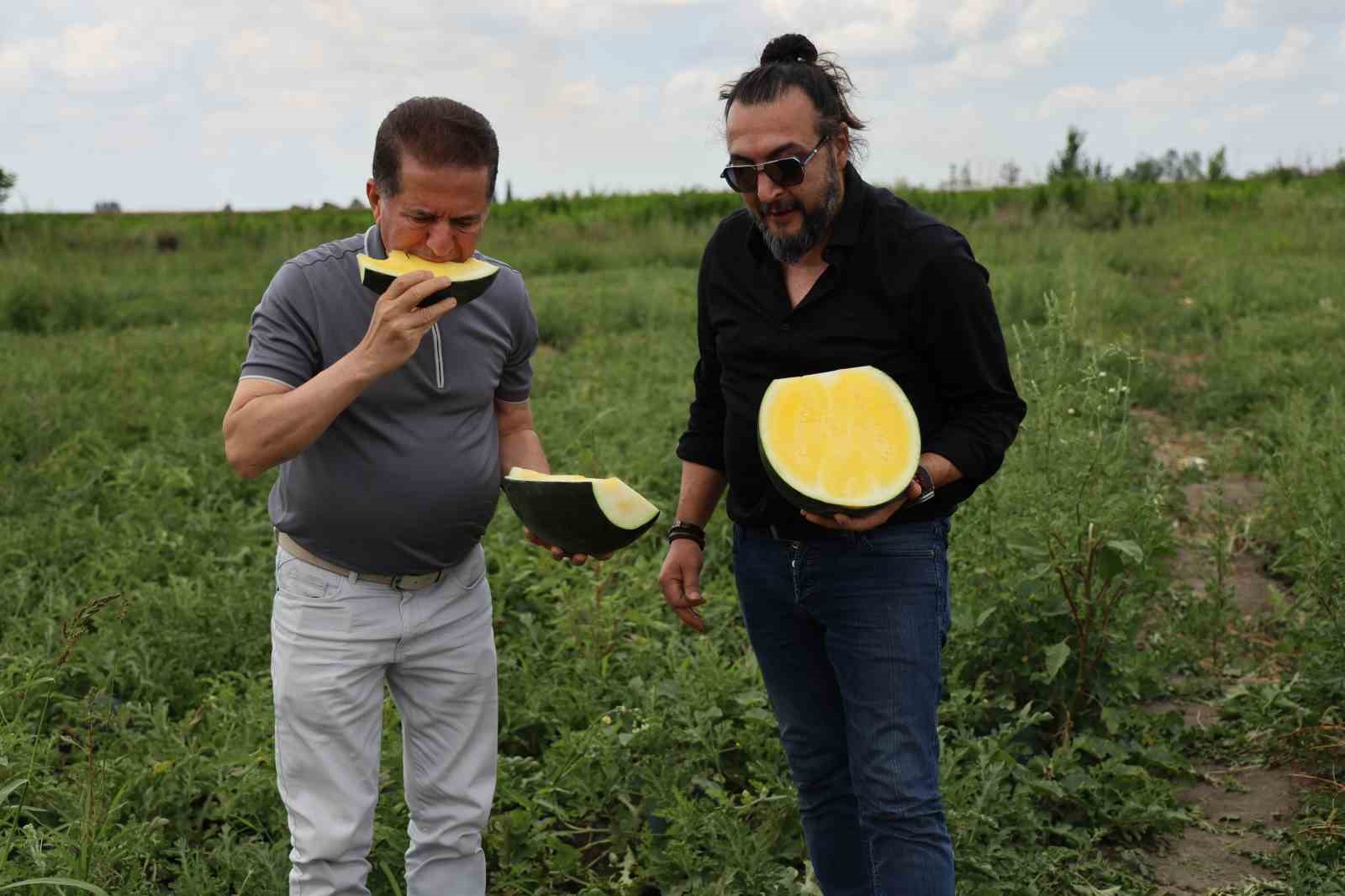 Bu karpuzu görenler hayrete düşüyor: kabuğu yeşil, içi sarı 12 bu karpuzu gorenler hayrete dusuyor kabugu yesil ici sari 8 ZHniMv1D
