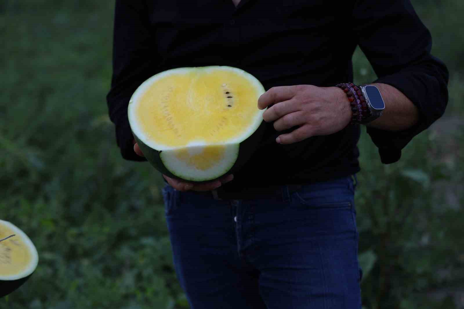 Bu karpuzu görenler hayrete düşüyor: kabuğu yeşil, içi sarı 13 bu karpuzu gorenler hayrete dusuyor kabugu yesil ici sari 9