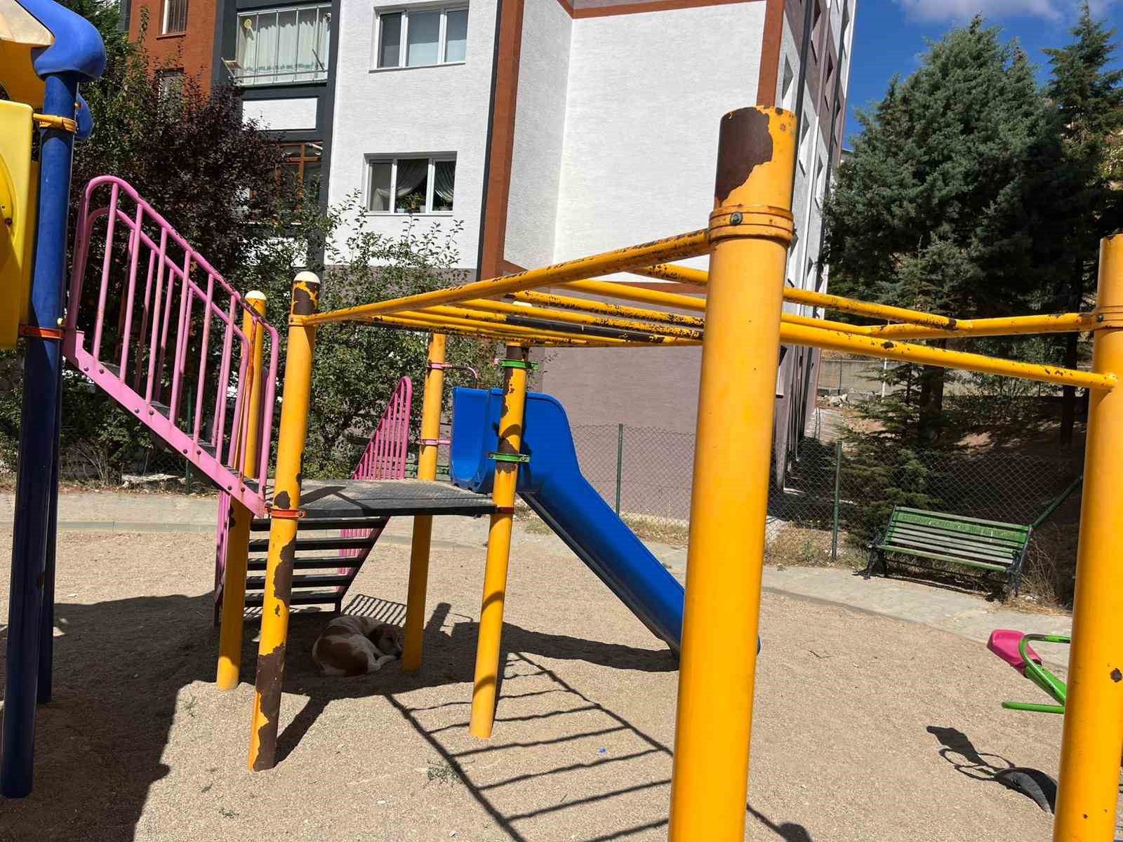bu kaydirak kazaya davetiye cikariyor 2 Zw5T4YWK