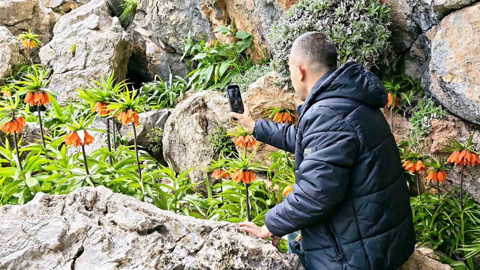 bu laleleri koparmanin cezasi 700 bin lira 0 FZsHNkA7