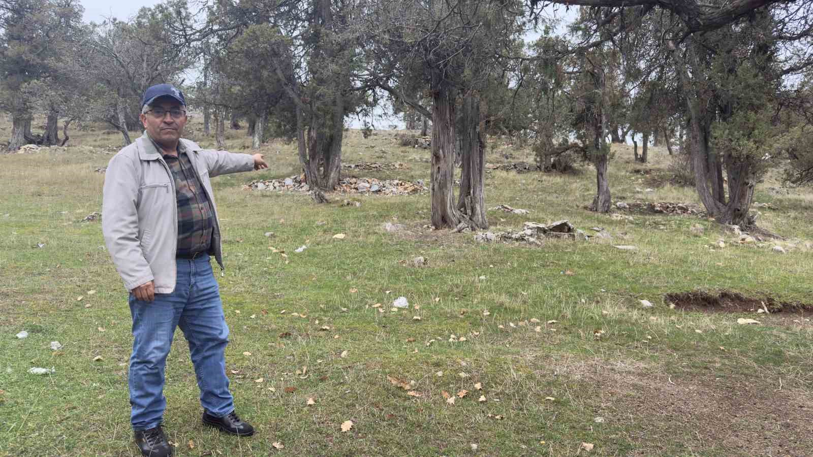 Bu ormana asırlardır balta girmiyor, kuruyup yıkılan ağaçlarda ormanda bırakılıyor 5 bu ormana asirlardir balta girmiyor kuruyup yikilan agaclarda ormanda birakiliyor 1