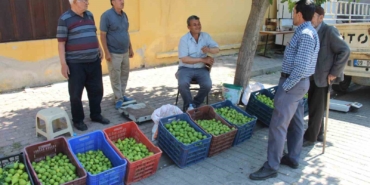 bu-pazarda-meyve-degil-sinek-satiliyor-JzGQ7zEu.jpg