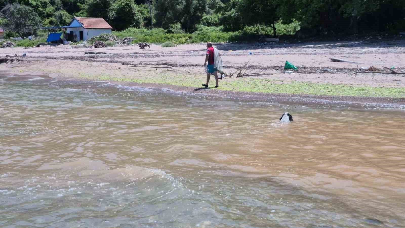 Bu plajdakiler 10 adımda il değiştiriyor 9 bu plajdakiler 10 adimda il degistiriyor 5 7Y5BnVAU