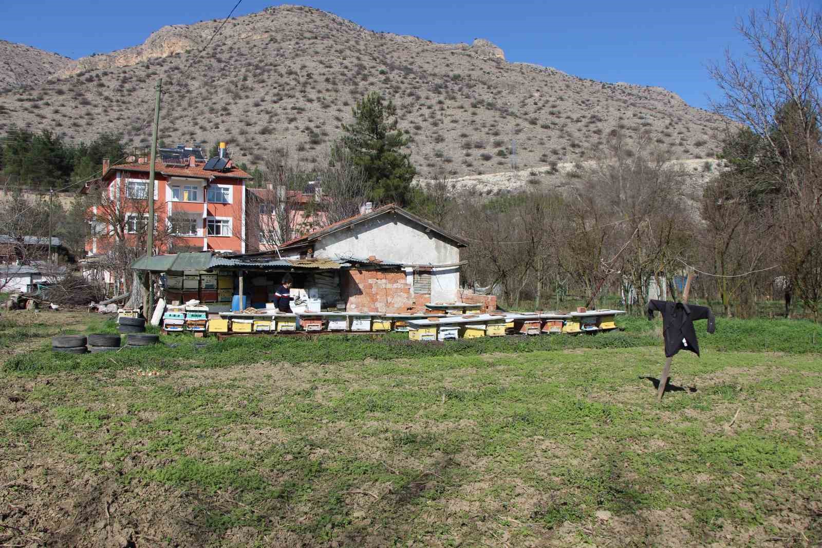 bu secimde kazanani arilar belirleyecek 6 NI4etTQM