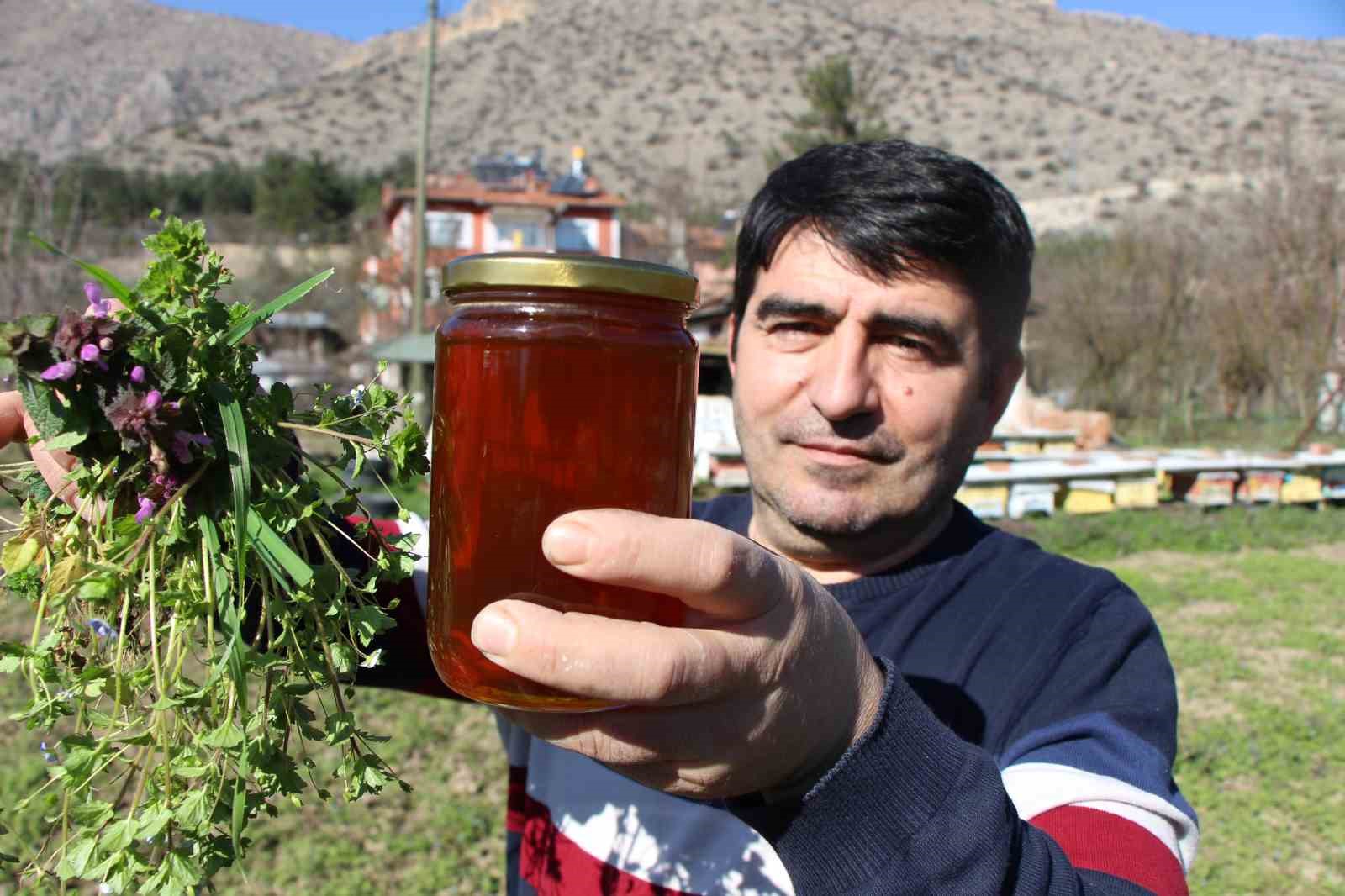 bu secimde kazanani arilar belirleyecek 7 keb7pk8v