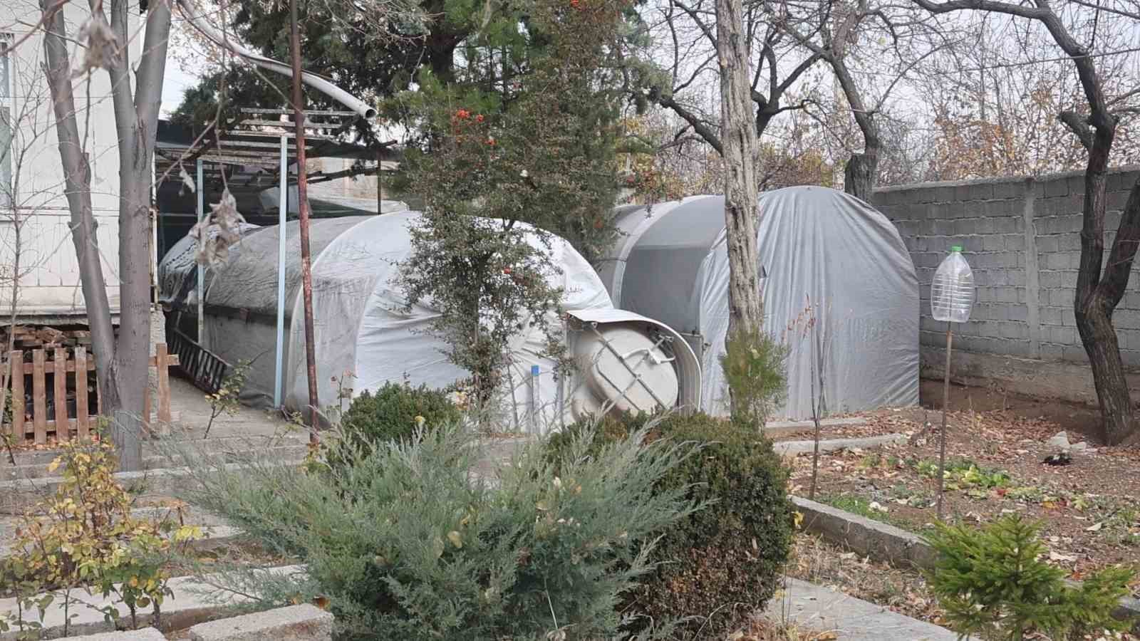 bu serada sebze degil klasik araba yetisiyor 3 fqMQrQWa