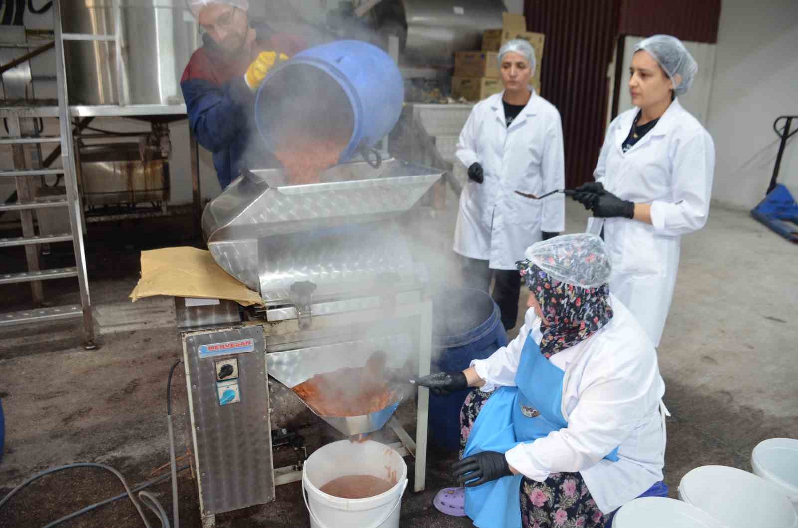 bu tesiste gunde 10 bin adet ayva ve nar lokumu uretiliyor 5 a2mSu1ce