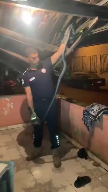 bulasik makinesine giren 2 metrelik karayilani itfaiye cikardi 1 tDrQ2wHf