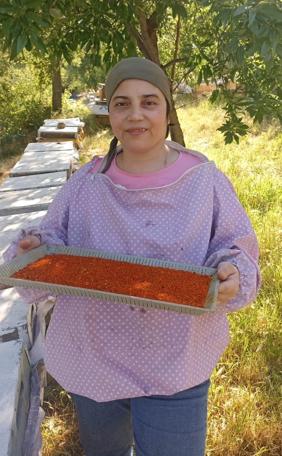 buldanda polen hasadi basladi 1 f8ZfJdv2
