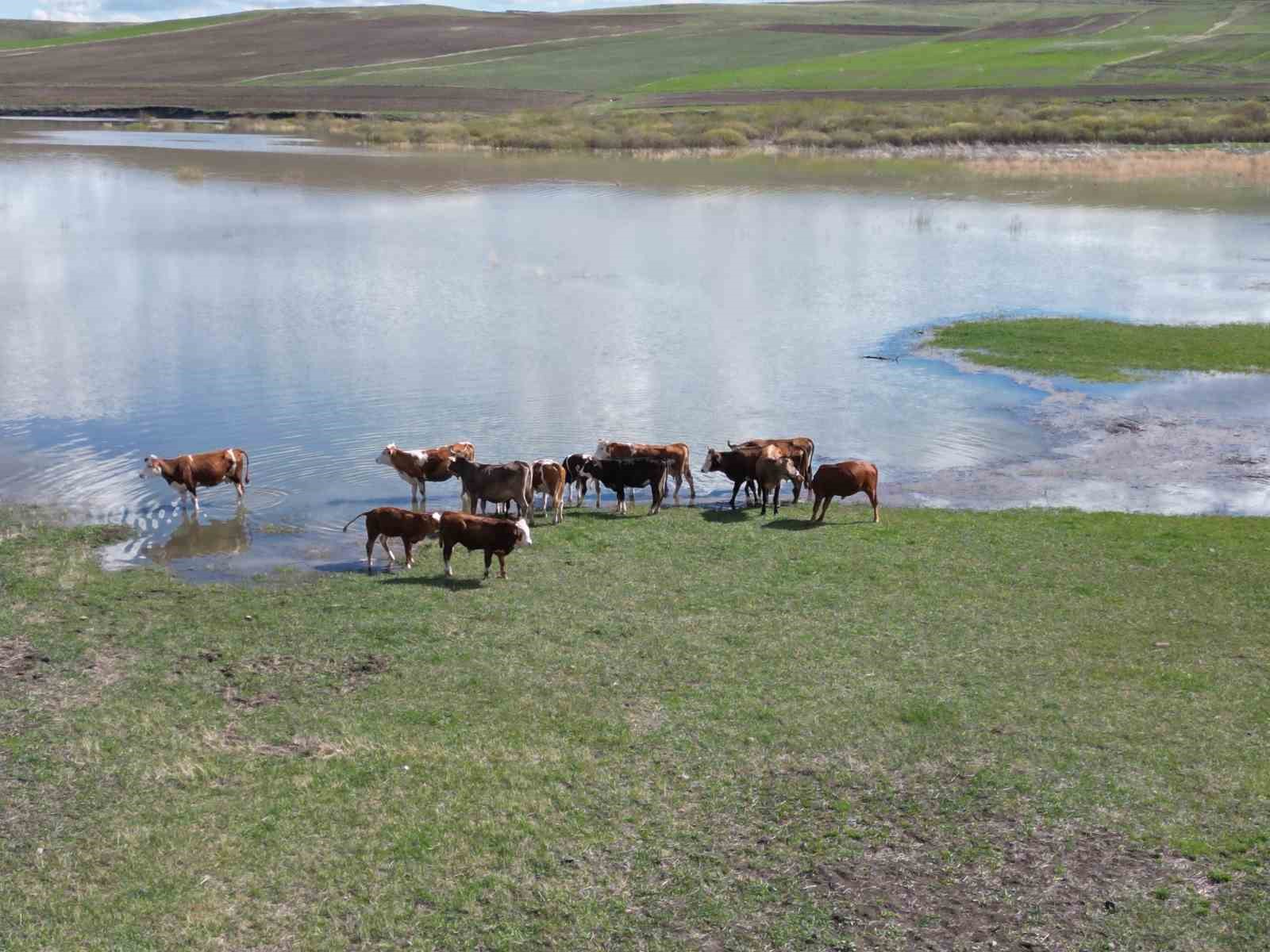 bulutlarin aynasi kars baraj golunde kartpostallik manzara 3 pY4bAHjI