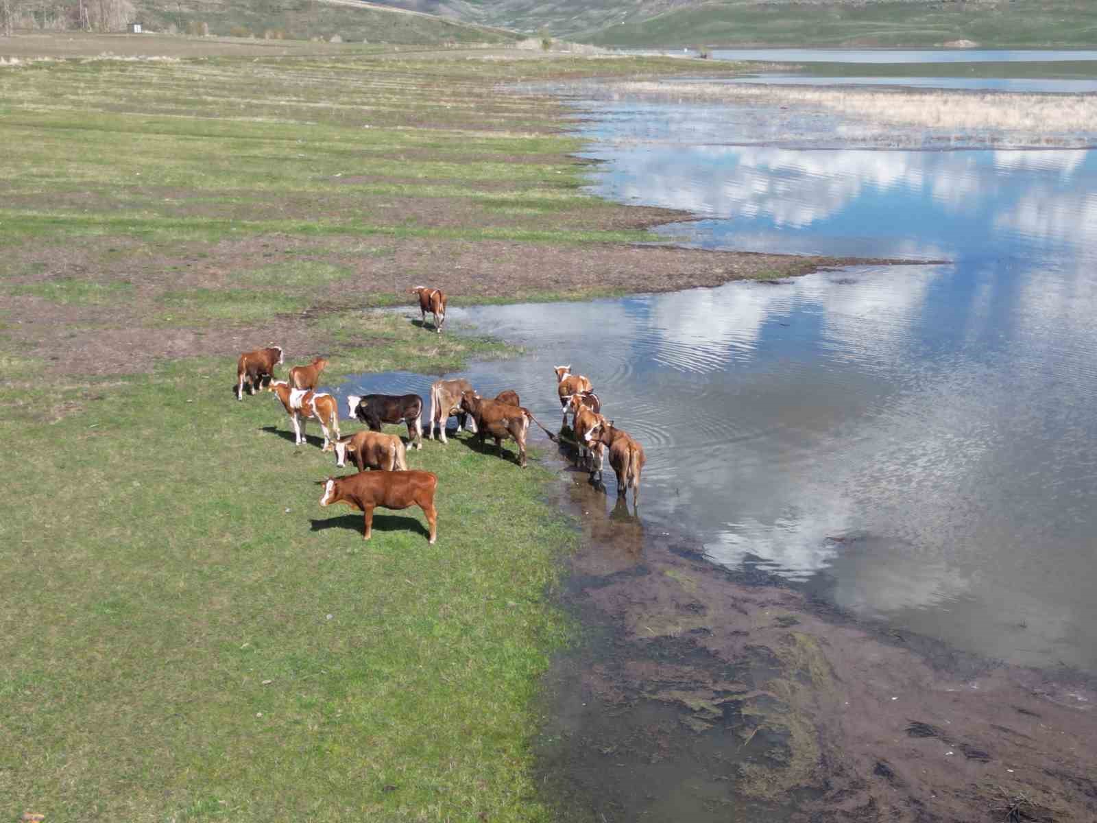 bulutlarin aynasi kars baraj golunde kartpostallik manzara 4 qeI9ci7u