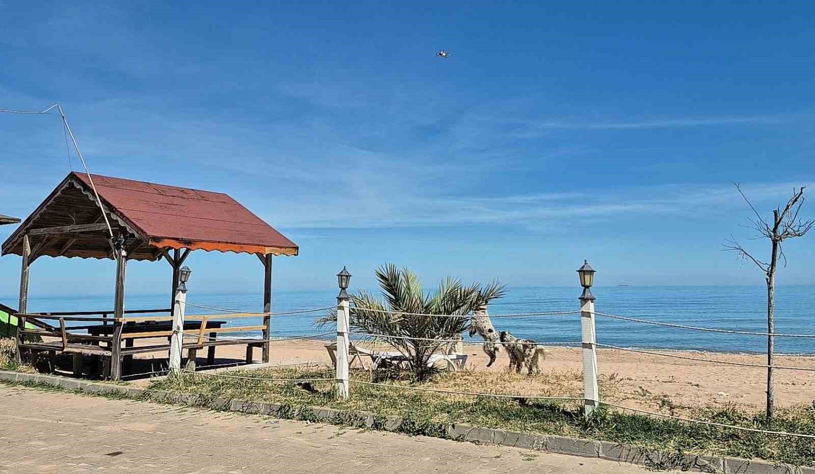 bunlar da dronsavar kopekler 1 5VzEi3fY