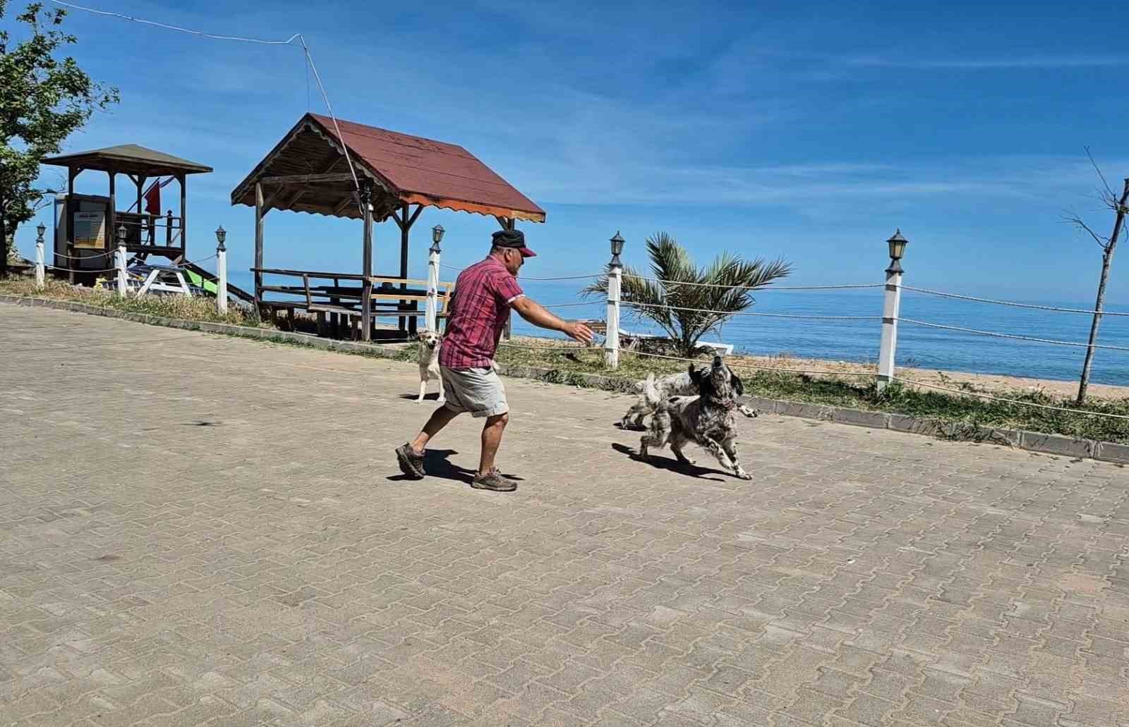 bunlar da dronsavar kopekler 3 zFPBBV1f