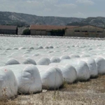 burdur-seker-fabrikasina-kotu-koku-cezasi-itXx53S4.jpg