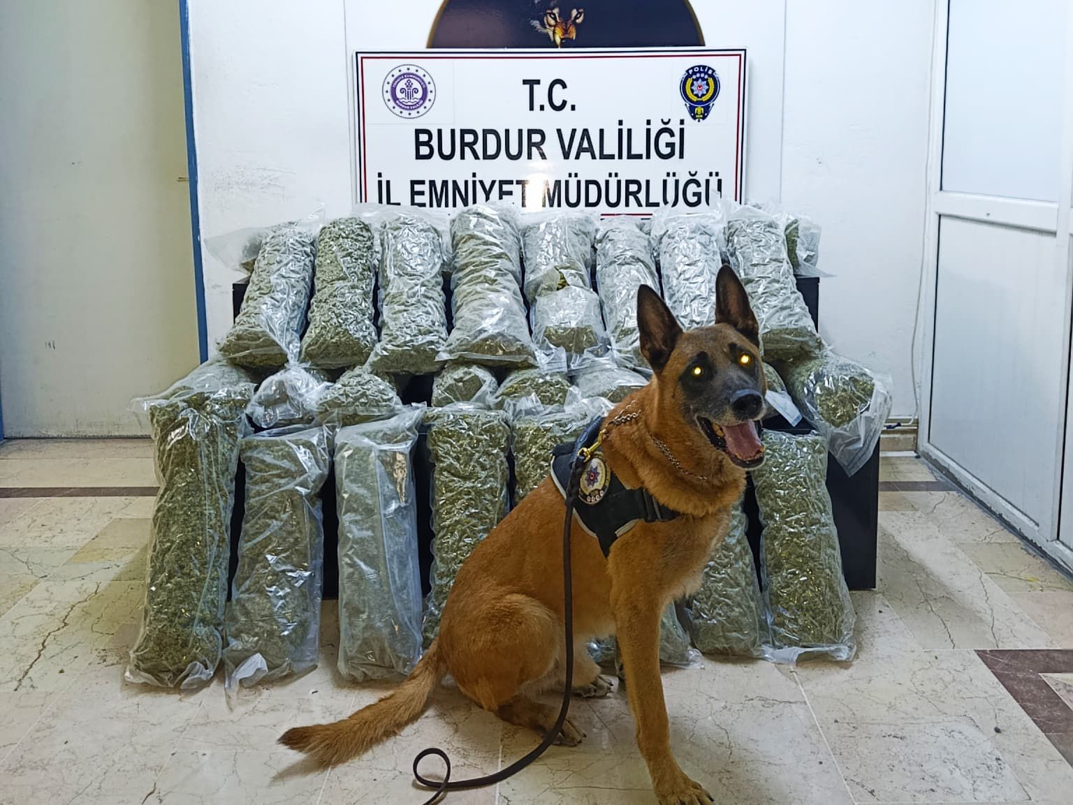 burdurda 36 kilo skunk maddesi ele gecirildi operasyon goruntululeri film sahnelerini aratmadi 0 cf654N5P