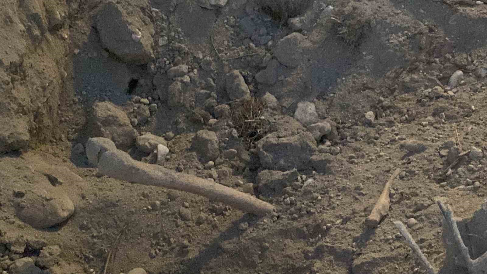 Burdur’da belediyenin kazı çalışması sırasında insan kemikleri bulundu 5 burdurda belediyenin kazi calismasi sirasinda insan kemikleri bulundu 1 FhOOY7zT
