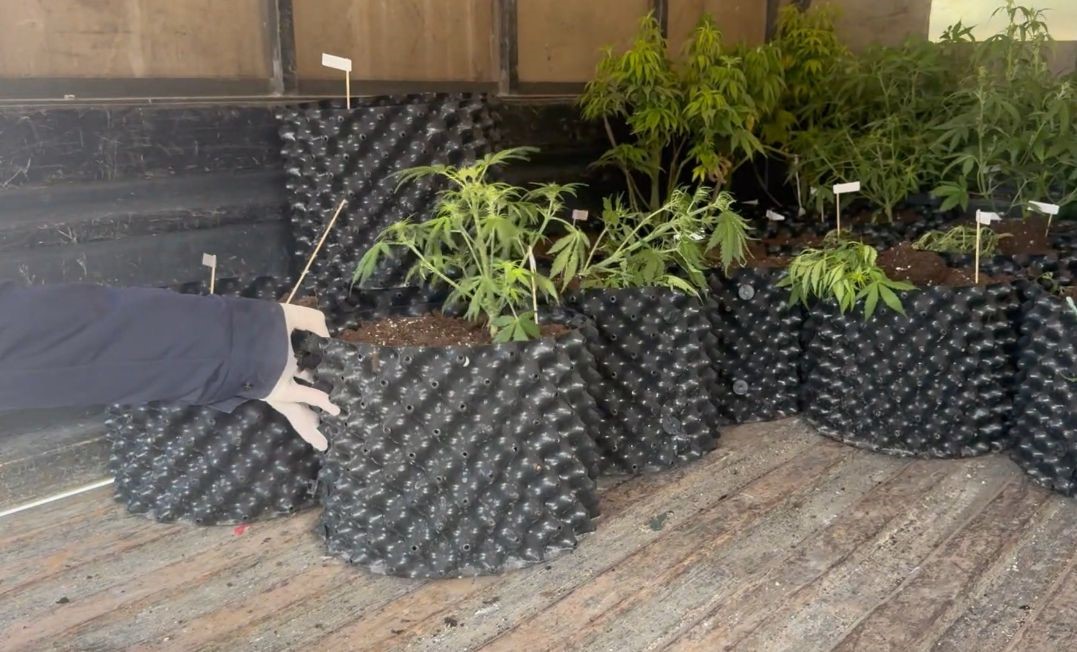 Burdur’da evi uyuşturucu imalathanesine çeviren şüpheli tutuklandı 9 burdurda evi uyusturucu imalathanesine ceviren supheli tutuklandi 5 NDZzKSqv