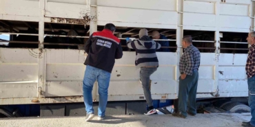 burdurda-sap-karantinasindaki-kupesiz-hayvan-tasiyan-besiciye-170-bin-lira-ceza-6X7lhwlz.jpg