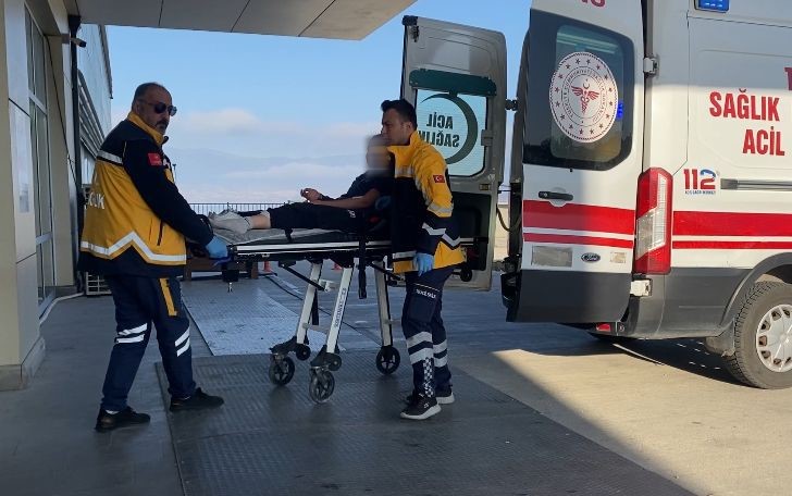 burdurda sokak kopekleri kucuk kiza dehseti yasatti 0 I5ZTIN9v