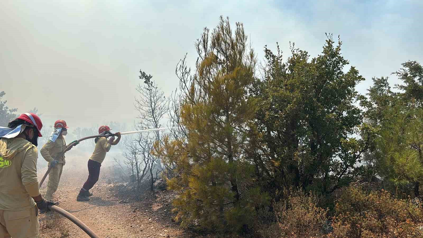 Burhaniye’de çıkan orman yangını kontrol altına alındı 4 burhaniyede cikan orman yangini kontrol altina alindi 0 agKPcnWX