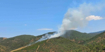 burhaniyede-cikan-orman-yangini-kontrol-altina-alindi-lVs1Jj7R.jpg