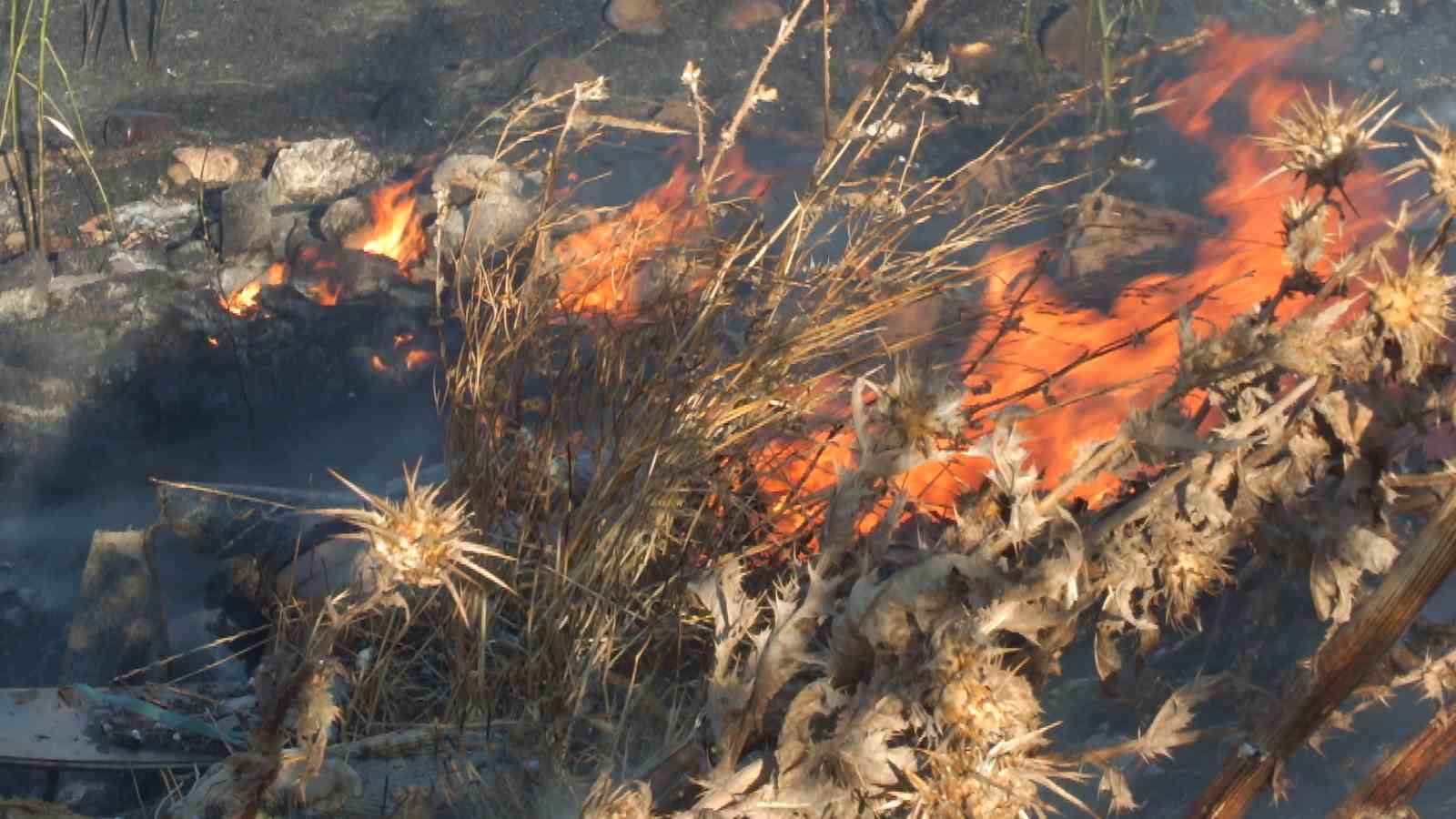 burhaniyede karinca deresinde cikan ot yangini 3 saatte sonduruldu 2 qDCzm2lQ