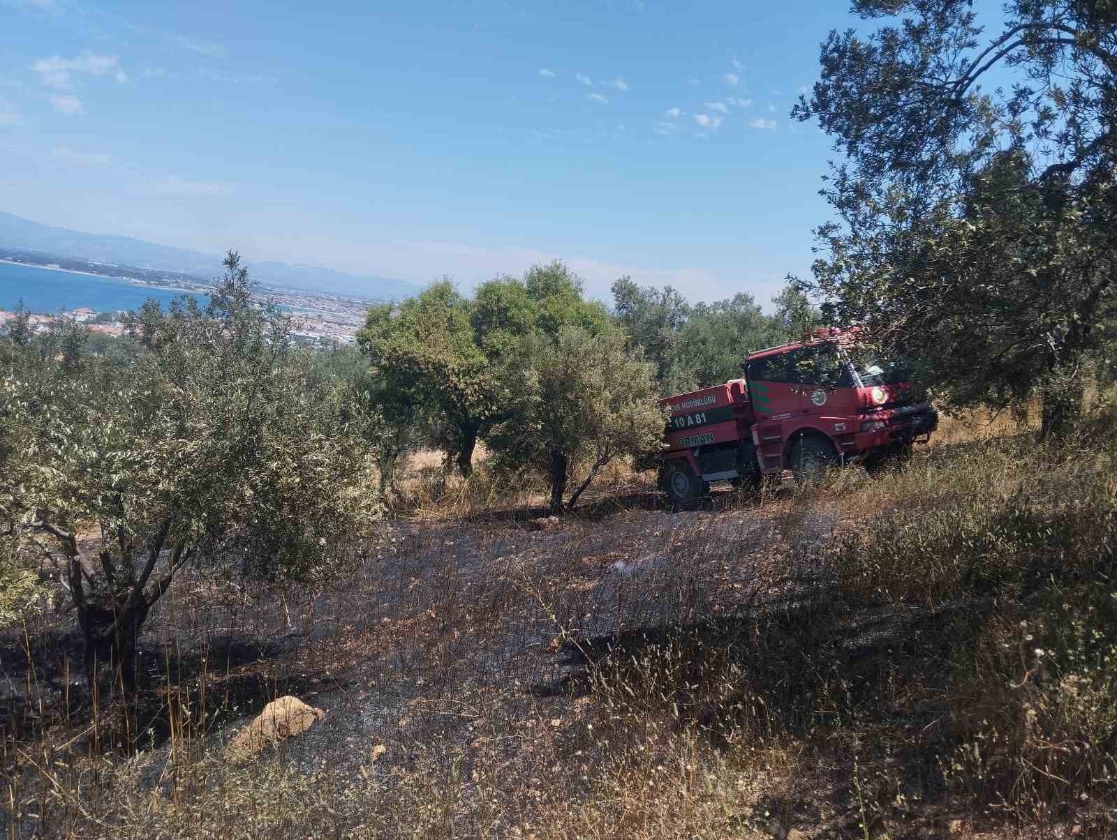 Burhaniye’de zeytinlik yangınına havadan ve karadan müdahale ediliyor 5 burhaniyede zeytinlik yanginina havadan ve karadan mudahale ediliyor 1