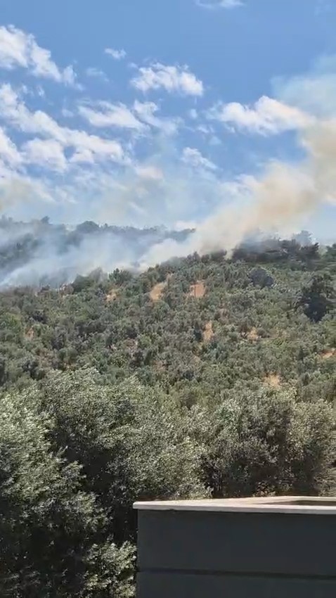 Burhaniye’de zeytinlik yangınına havadan ve karadan müdahale ediliyor 7 burhaniyede zeytinlik yanginina havadan ve karadan mudahale ediliyor 3 nv4eVbK9