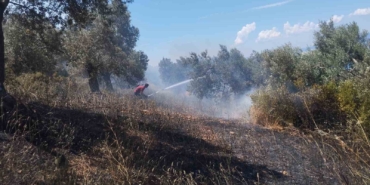 burhaniyede-zeytinlik-yanginina-havadan-ve-karadan-mudahale-ediliyor-8J5PhlTK.jpg