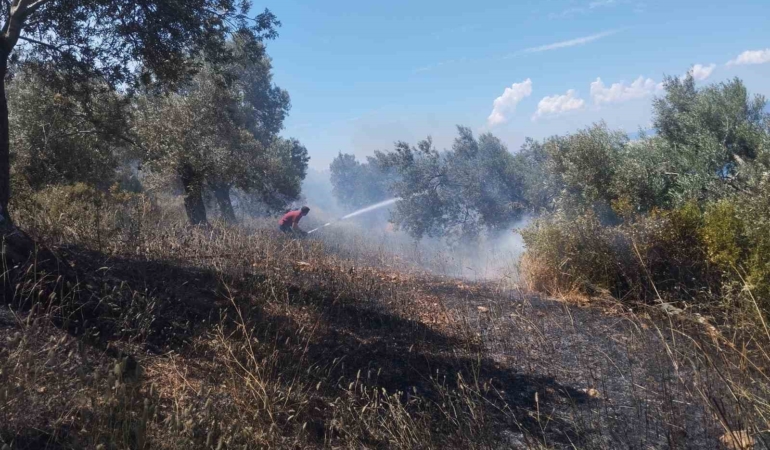 burhaniyede-zeytinlik-yanginina-havadan-ve-karadan-mudahale-ediliyor-8J5PhlTK.jpg