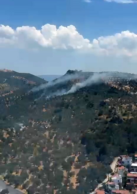 Burhaniye’deki zeytinlik yangını kontrol altına alındı 5 burhaniyedeki zeytinlik yangini kontrol altina alindi 1 h2uWzdSe