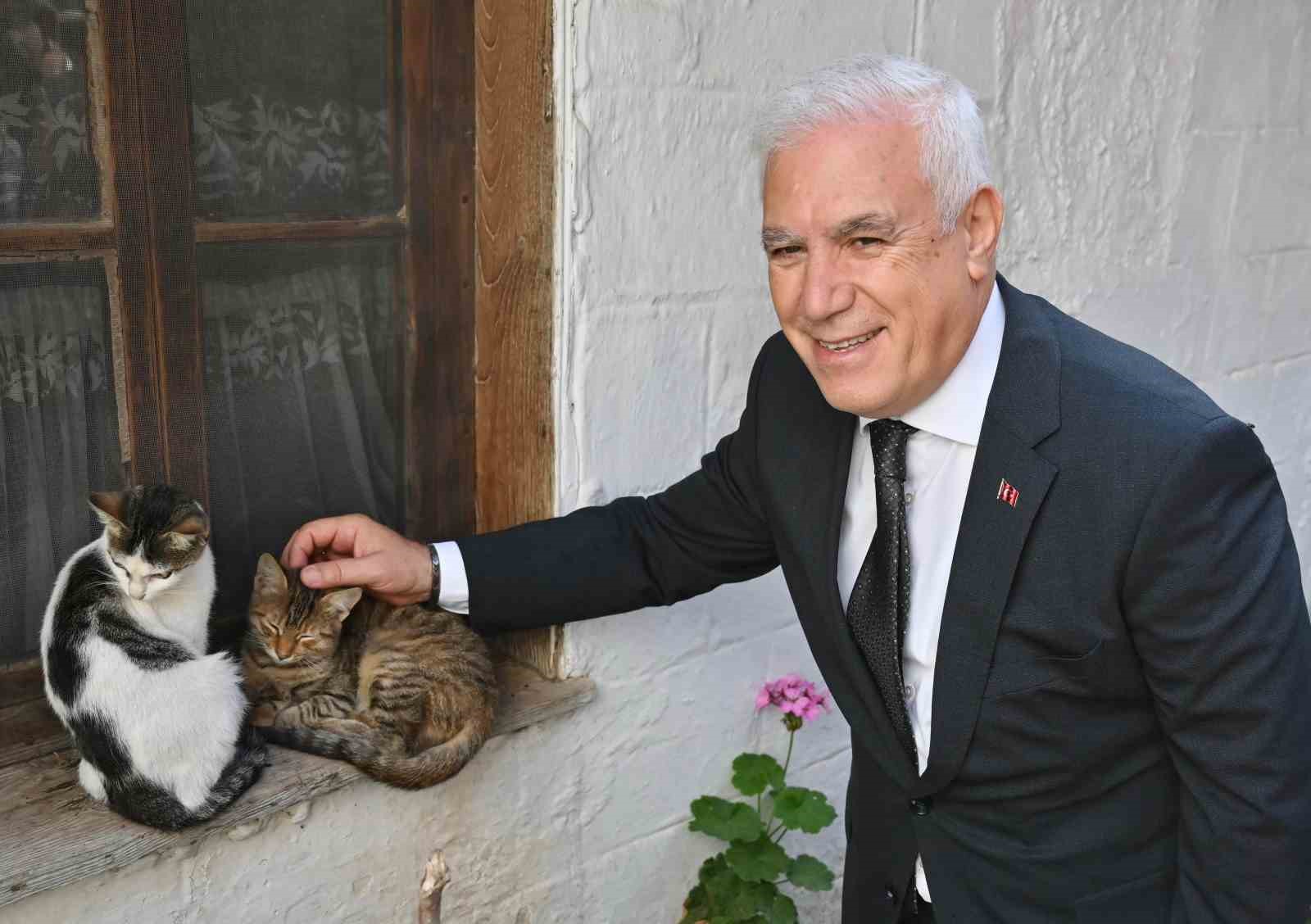 bursa buyuksehir belediyesi patili dostlarin yaninda 3 z3rwze3l