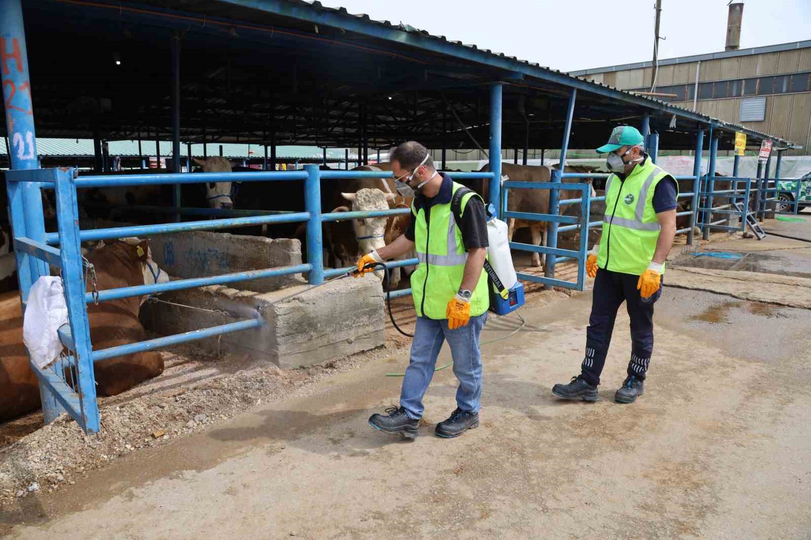 bursa buyuksehir kurban bayramina hazir 3 GcPpimzT