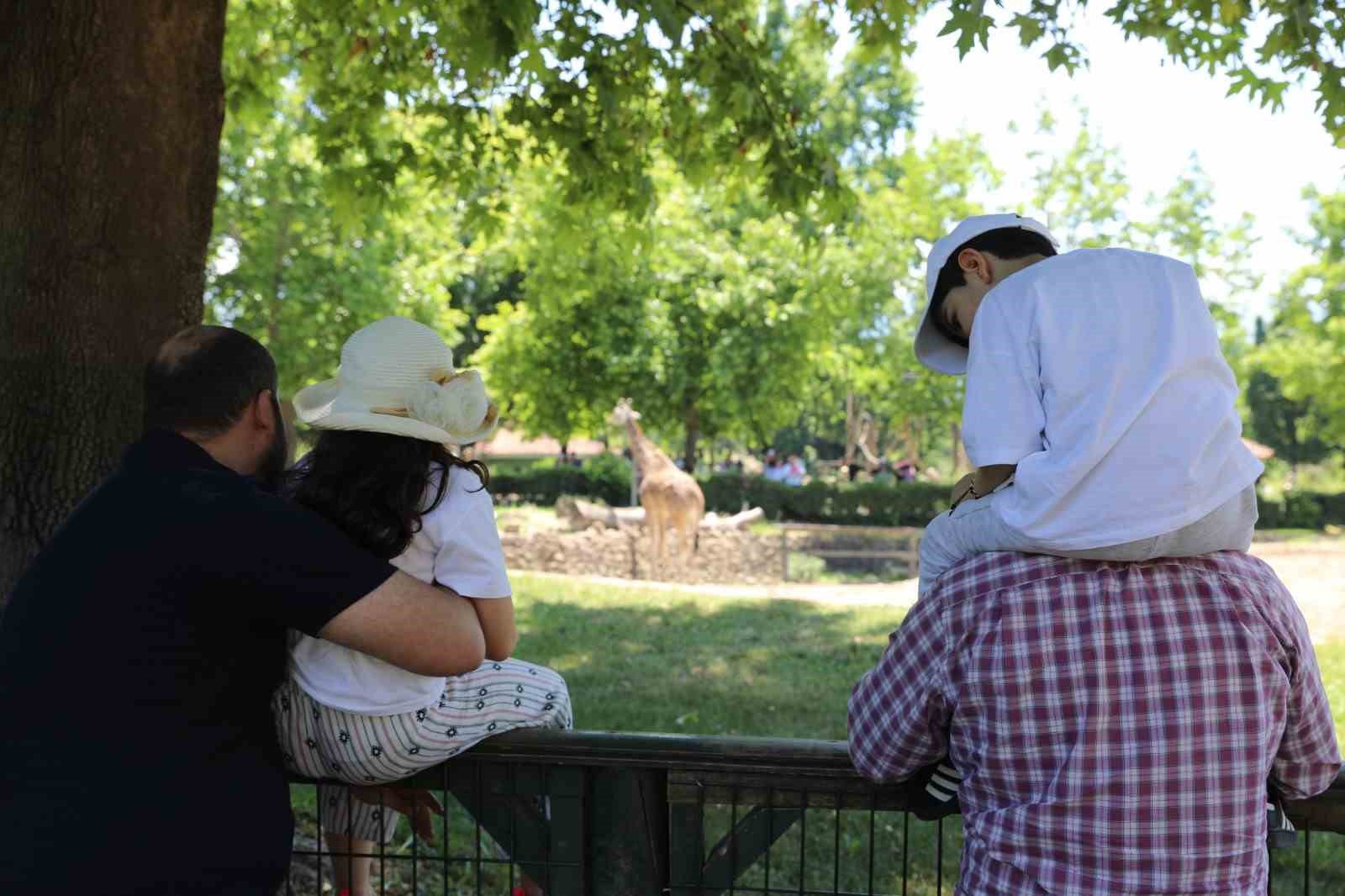 bursa hayvanat bahcesi bayramda ziyaretci akinina ugradi 0 Ley2tJS9