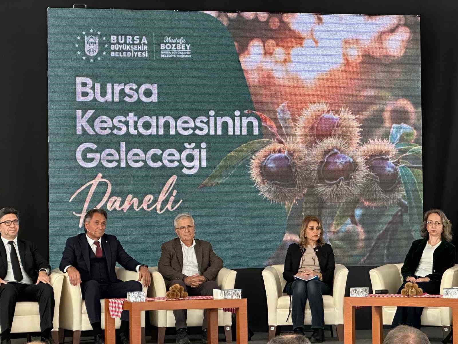 bursa kestanesinin gelecegi konusuldu 1 OhfSHQX7