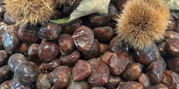 bursa-kestanesinin-gelecegi-konusuldu-twvpyyIZ.jpg