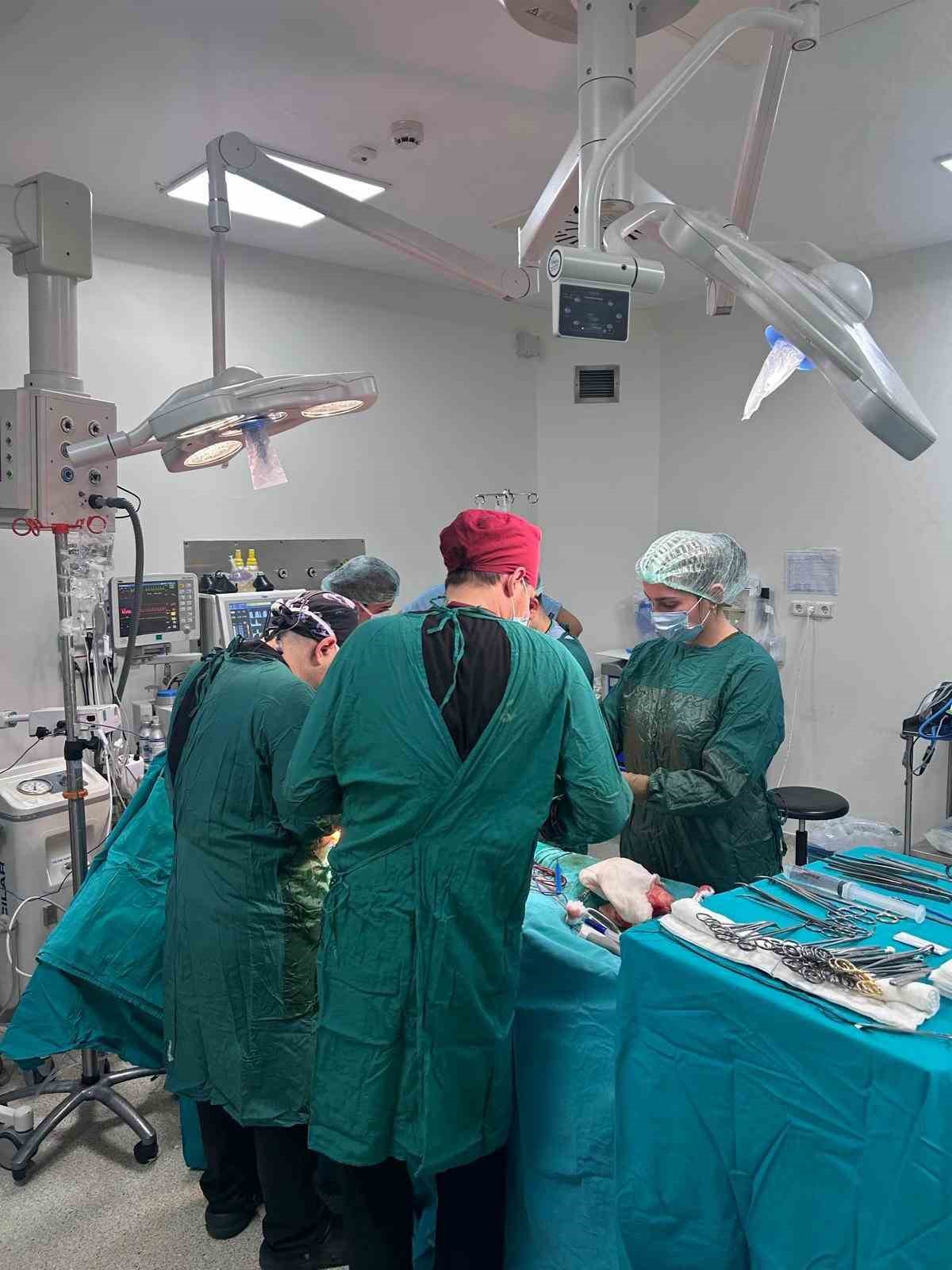 bursa organ bagisinda turkiyenin umut baskenti oldu 2 Gq6ztWSR