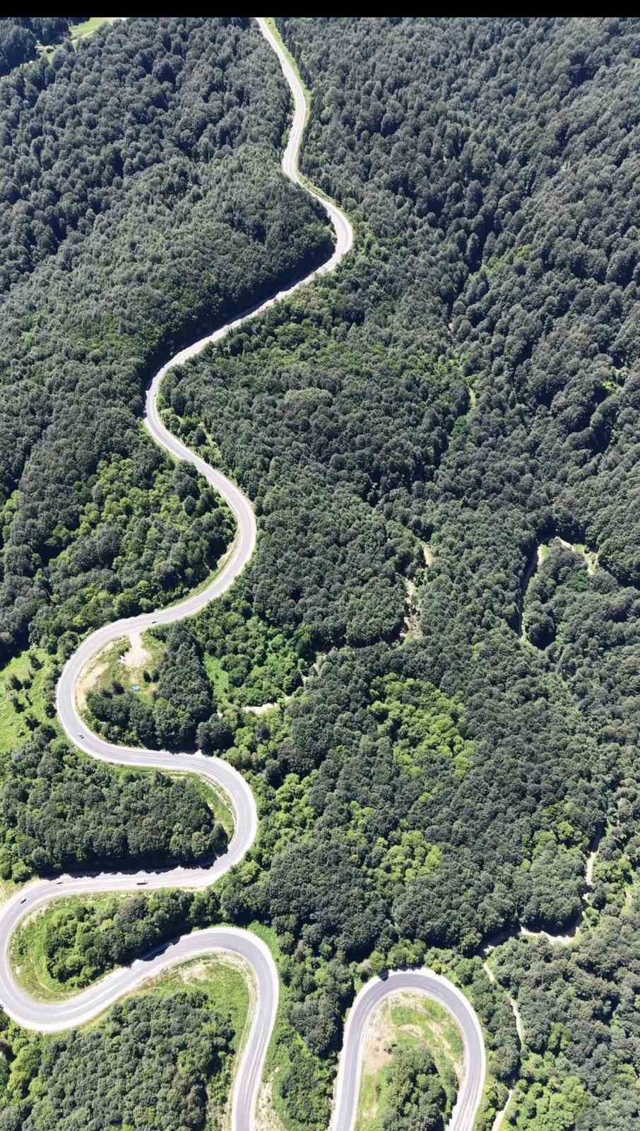 Bursa ormanlarında kartpostallık görüntüler 4 bursa ormanlarinda kartpostallik goruntuler 0