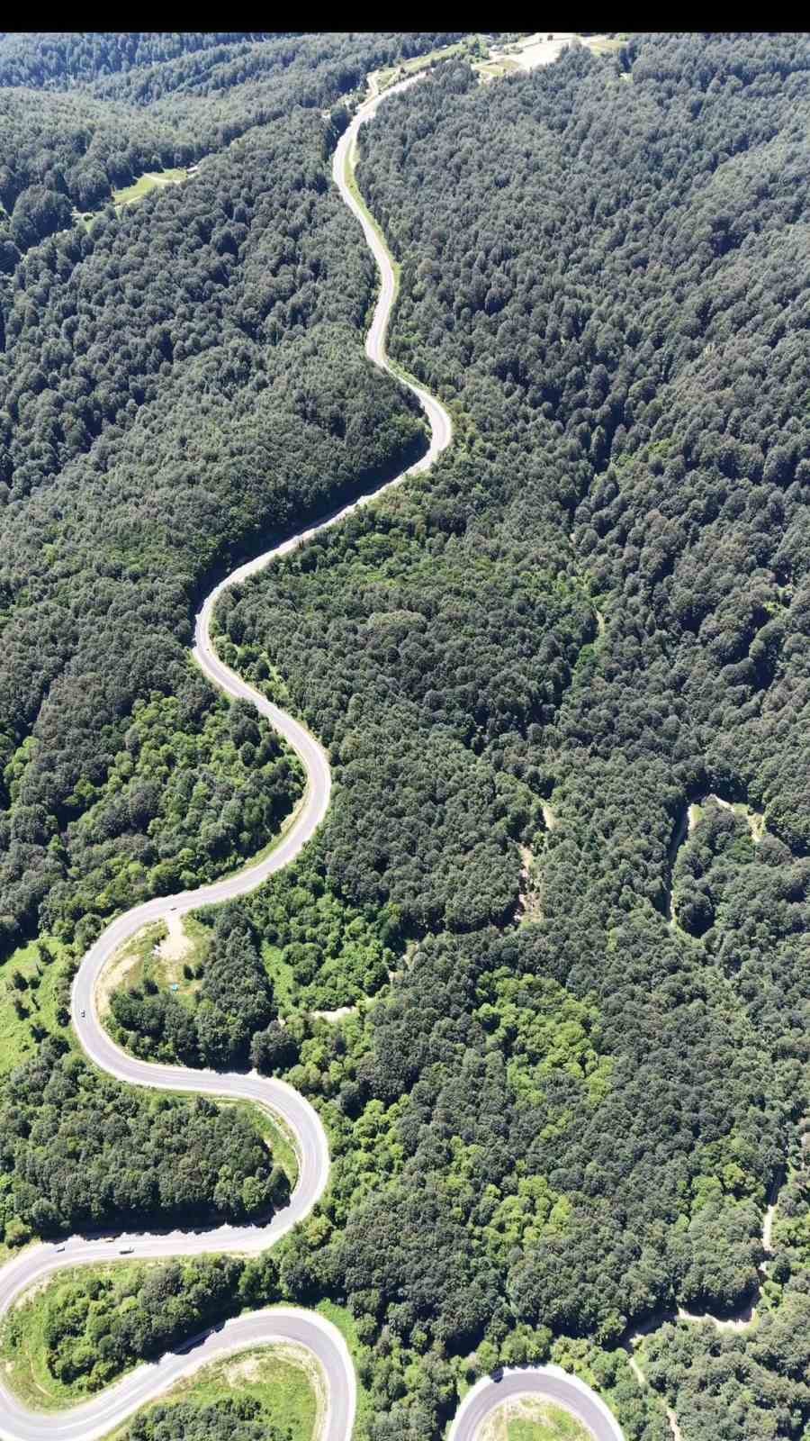 Bursa ormanlarında kartpostallık görüntüler 5 bursa ormanlarinda kartpostallik goruntuler 1 C2Aj3pzF