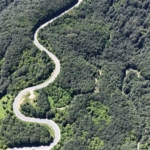 bursa-ormanlarinda-kartpostallik-goruntuler-wFnFh6KM.jpg