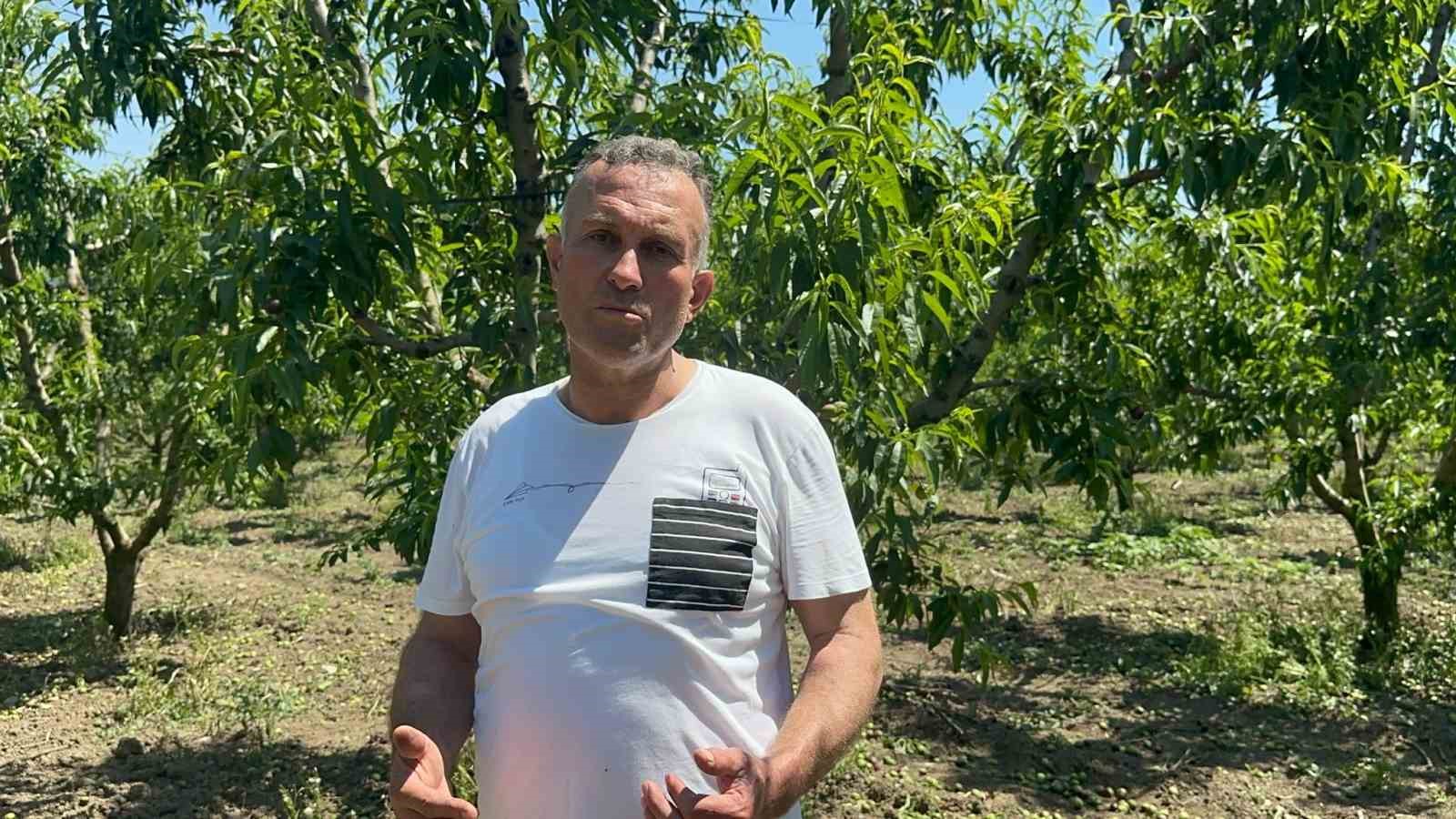 Bursa Ovası’nda dallarda üzüm salkımı gibi nektarin olunca "tekleme" uzun sürdü 4 bursa ovasinda dallarda uzum salkimi gibi nektarin olunca tekleme uzun surdu 0 z287sTML