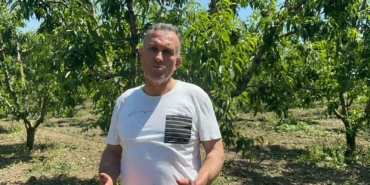 bursa-ovasinda-dallarda-uzum-salkimi-gibi-nektarin-olunca-tekleme-uzun-surdu-QlcMVq5a.jpg