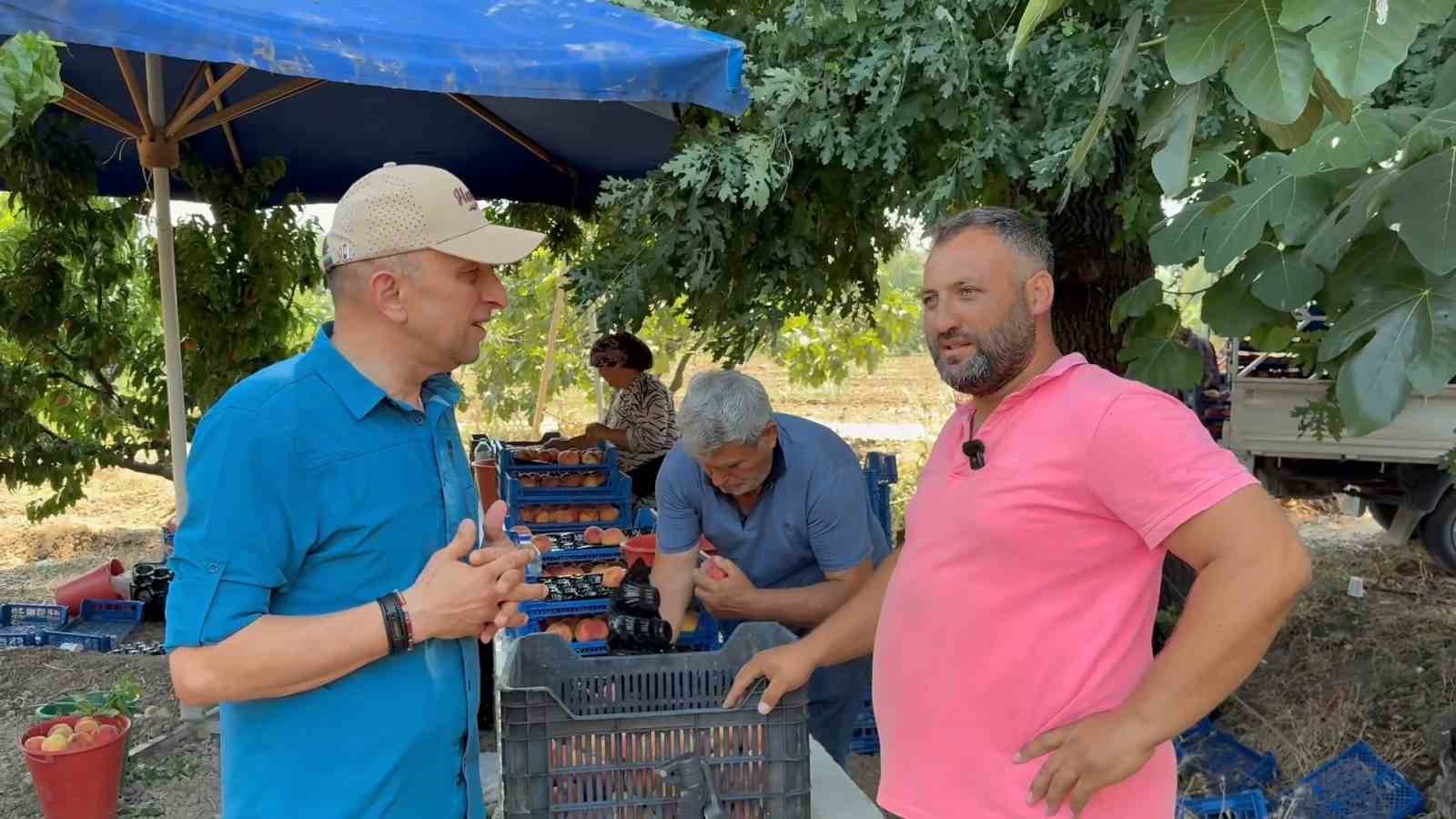 Bursa şeftalisinde hasat başladı 4 bursa seftalisinde hasat basladi 0 N8th1ZVM