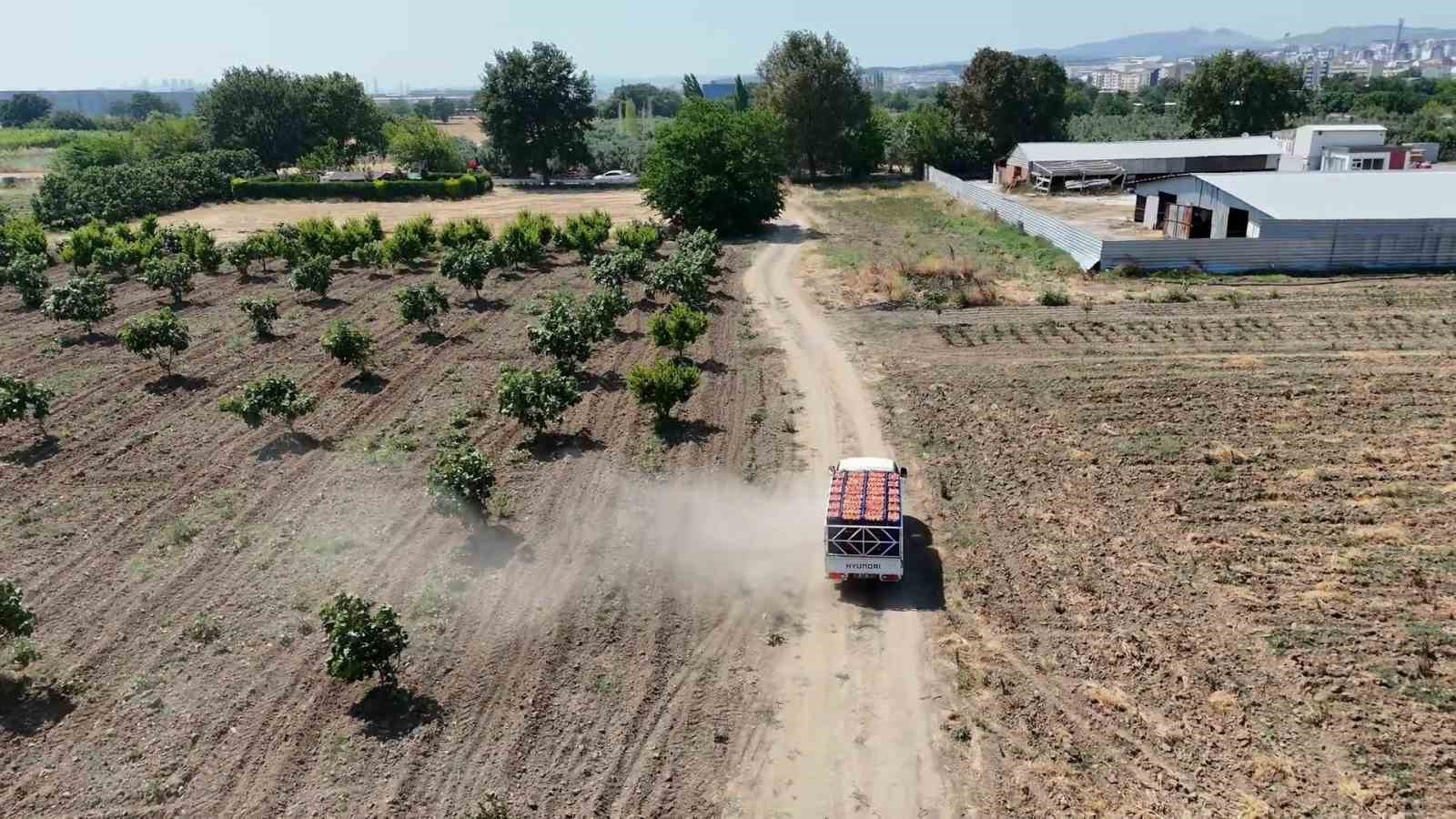 Bursa şeftalisinde hasat başladı 9 bursa seftalisinde hasat basladi 5