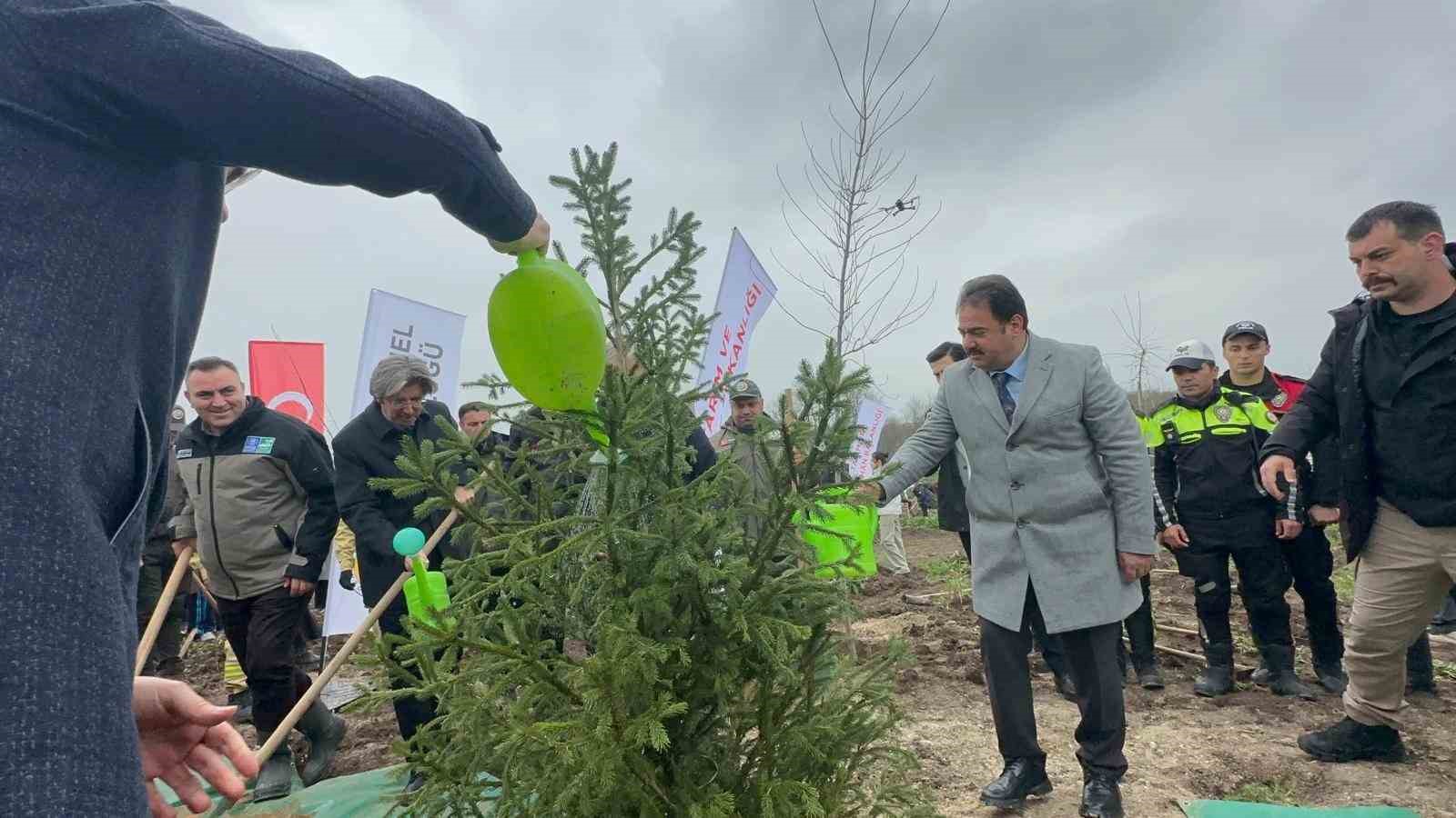 bursada 2 yil once yanan 80 hektarlik alan agaclandirildi 3 Z1jitpkp