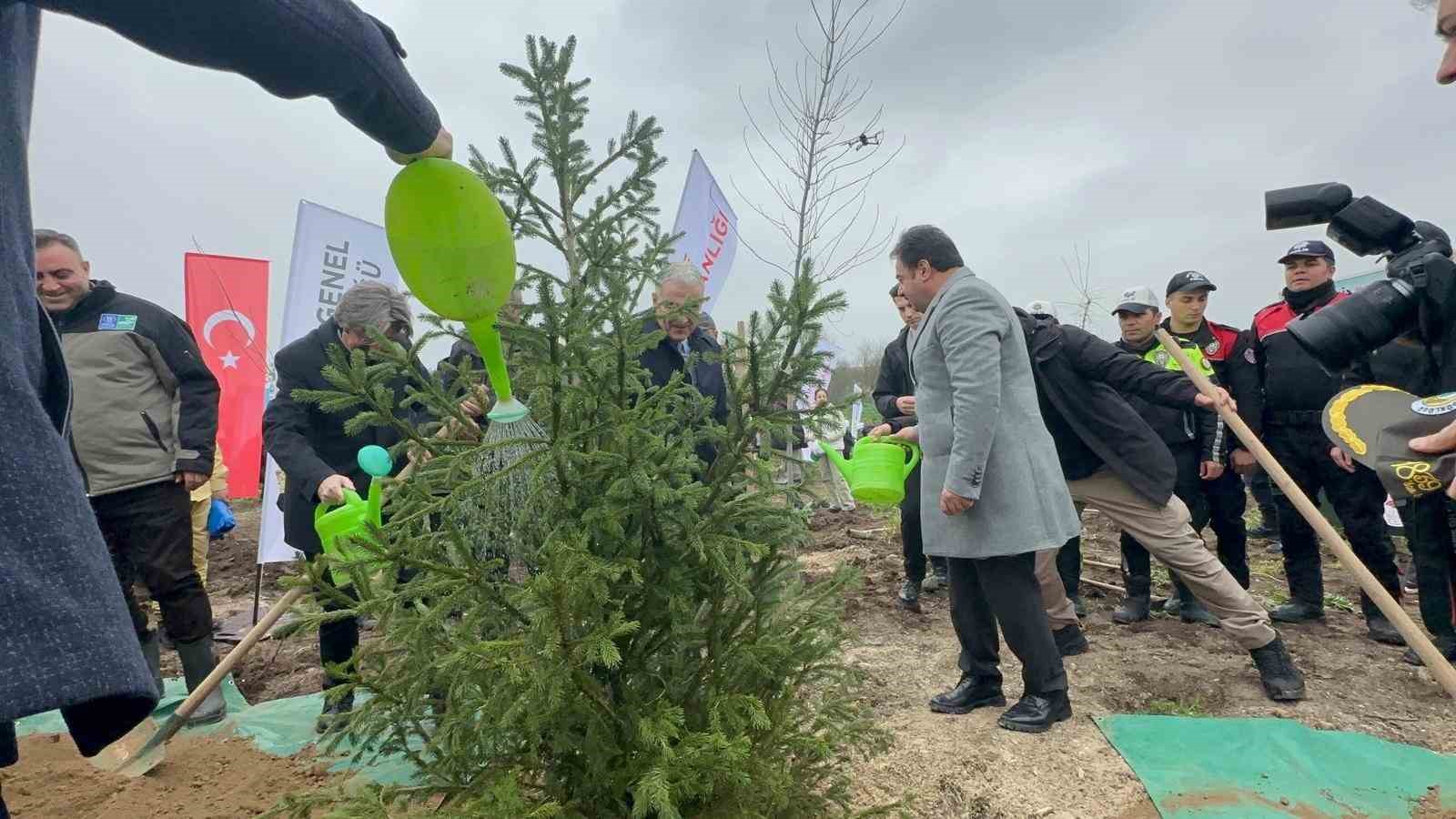 bursada 2 yil once yanan 80 hektarlik alan agaclandirildi 5 uOVk2YWU